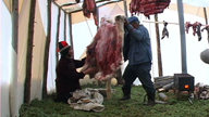 Two Innus arranging the skin of the caribou for the degreasing process
