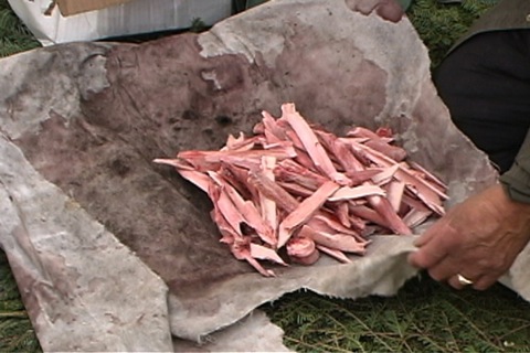 caribou bones not used in the fat-making process