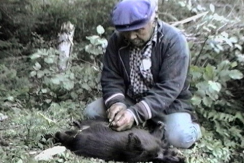 he removes the porcupine’s intestines