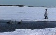 Un chasseur innu sur la glace pose des appelants pour attirer les outardes
