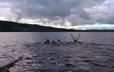 Quatre caribous à la nage dans un lac, suivis de chasseurs