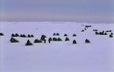 Encounter between a plane and a skidoo on an ice floe