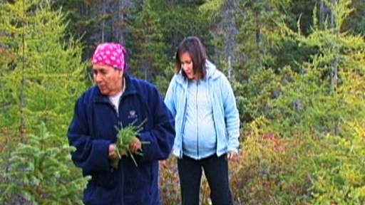 Evelyne St-Onge and her granddaughter, Laura Pinette, take a walk in the bush