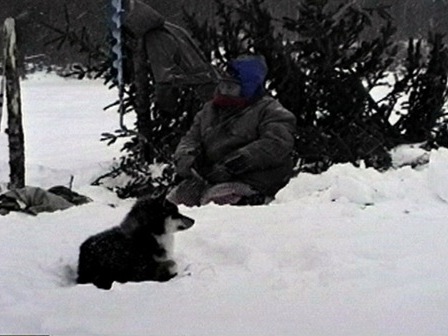 Une grand-mère, accompagnée de son chien, pêche sur la glace