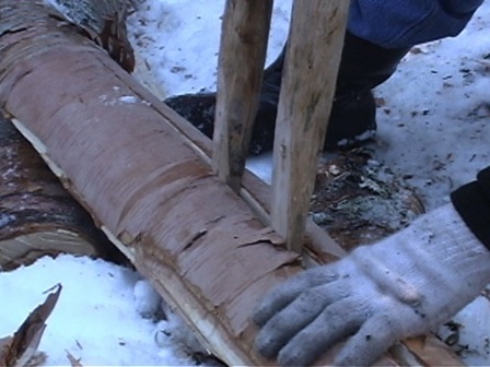 Splitting birch using wooden pegs