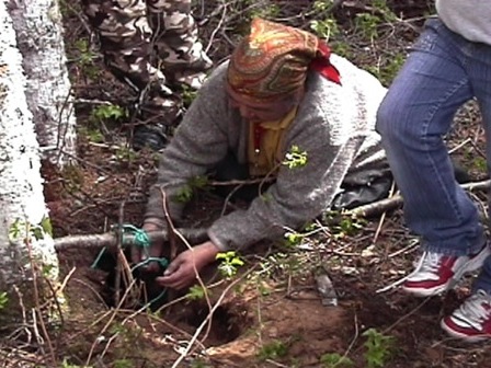 A woman sets a marmot snare