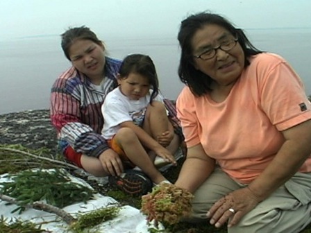 Une aînée d'Ekuanitshit enseigne à ses petits-enfants certaines de ses connaissances sur les plantes
