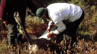 Un innu ouvre un caribou pour le vider