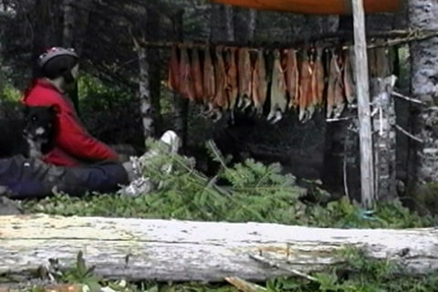 il fait sécher le poisson