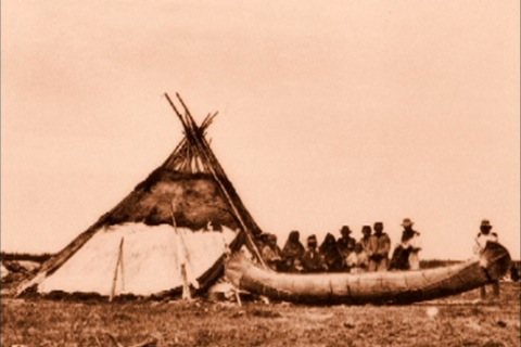 tipi