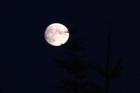 la lune est pleine