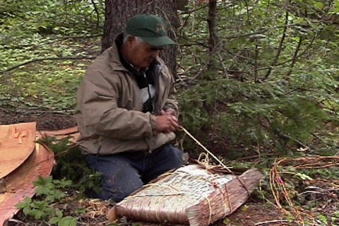 il attache la viande séchée d'un caribou entier dans un contenant d'écorce avec des racines