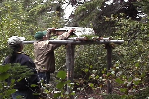 the food packets are covered in birch bark