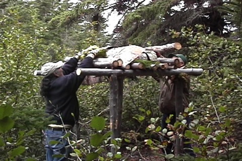 on met des billots de bois et de la mousse au dessus pour que tout gèle ensemble