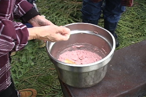 cervelle de caribou mélangée avec un peu d'eau