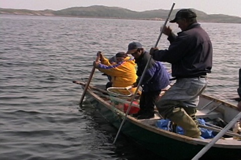 pêche aux homards