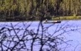 Angling in a canoe by a lake