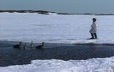 An Innu hunter on the ice sets out decoys to attract geese