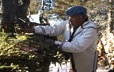 Par respect pour le caribou, Antoine Bellefleur dépose ses os broyés sur une branche d'arbre