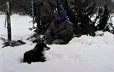 A grandmother fishes on the ice, accompanied by her dog