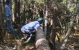 Jean-Baptiste Bellefleur en train de mesurer un arbre avec ses bras