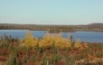 Fall landscape in the boreal forest