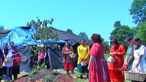 Initiation ritual: group of young women around the tree of life