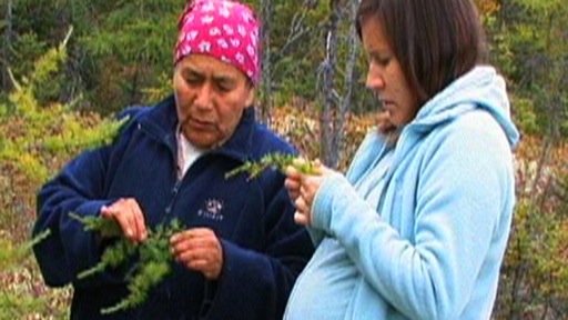 In the bush, Evelyne St-Onge explains the properties of a medicinal plant to Laura Pinette