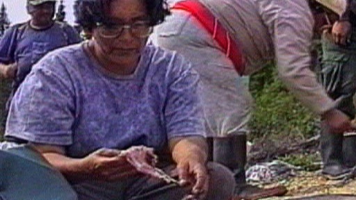 By a fire, a woman dresses a partridge before cooking it