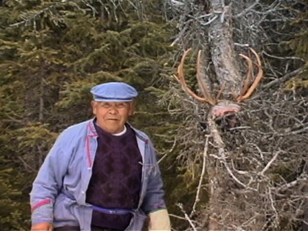 Out of respect for the animal, Antoine Bellefleur has just hung caribou antlers on a tree