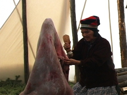 À l'intérieur d'une tente, Pelashe Bellefleur enlève le gras d'une peau de caribou