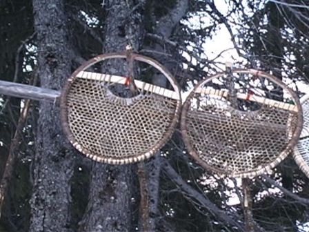 Temporary snow shoes hanging from a tree branch