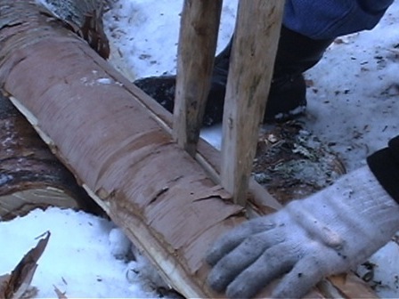 Fendre un bouleau avec des chevilles en bois