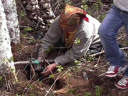 Une femme pose un collet à marmotte