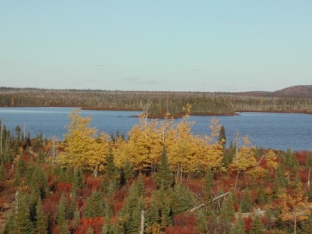 Paysage automnal dans le forêt boréale